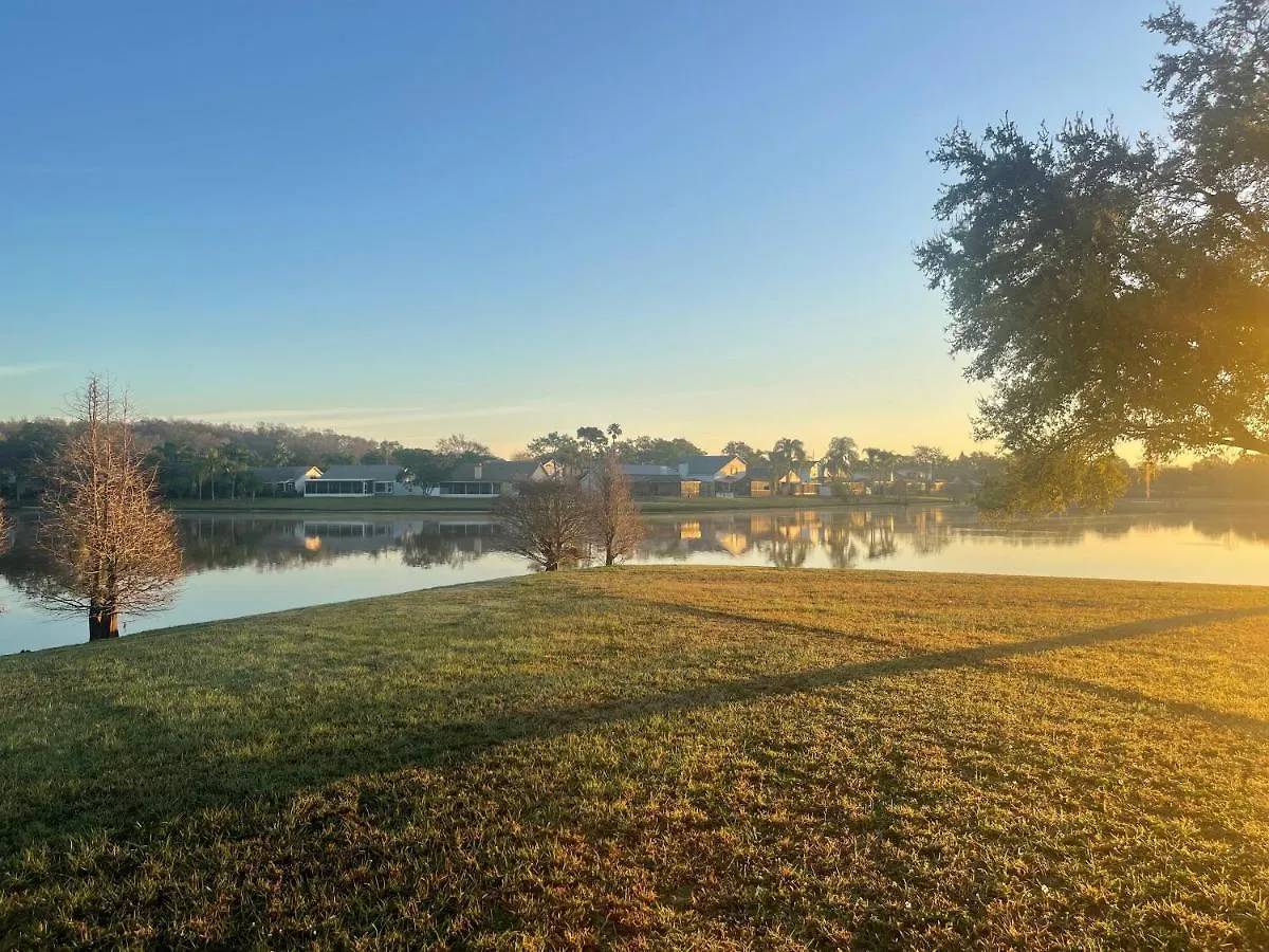 Holiday home Tampa Golf Course Oasis With Pool- 4 Bedrooms! United States